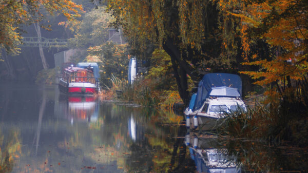 Moored boats on the Basingstoke Canal in Surrey