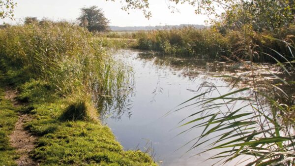 The Leven Canal in East Yorkshire