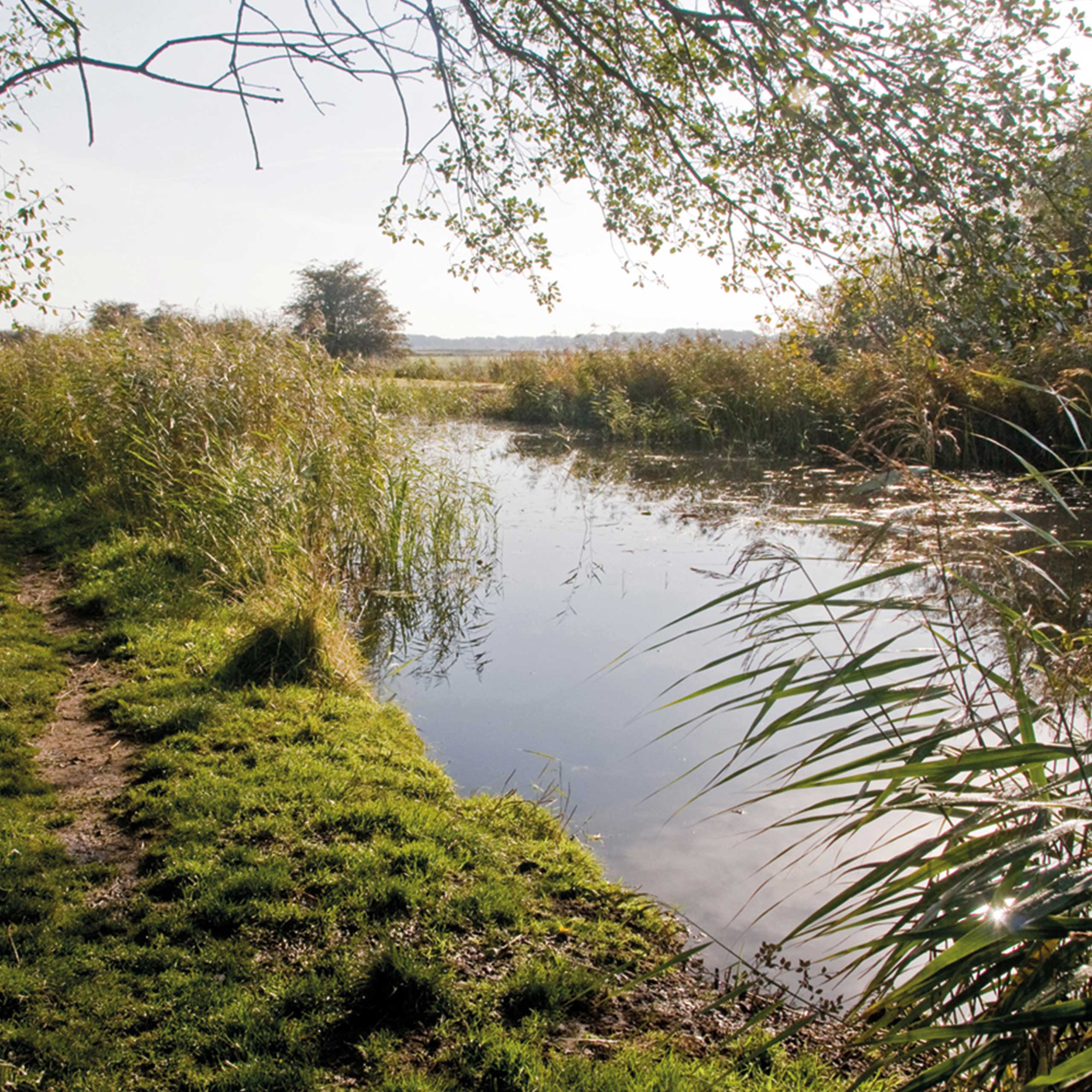 Will Ministers Vow Clean Up England & Wales Polluted Waterways? Find Out Now! - w6c0kgb
