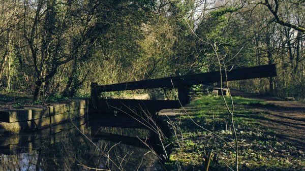 An old Lock on the Glamorganshire Canal