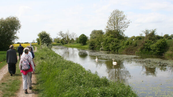 People walking along the canal on a sunny day