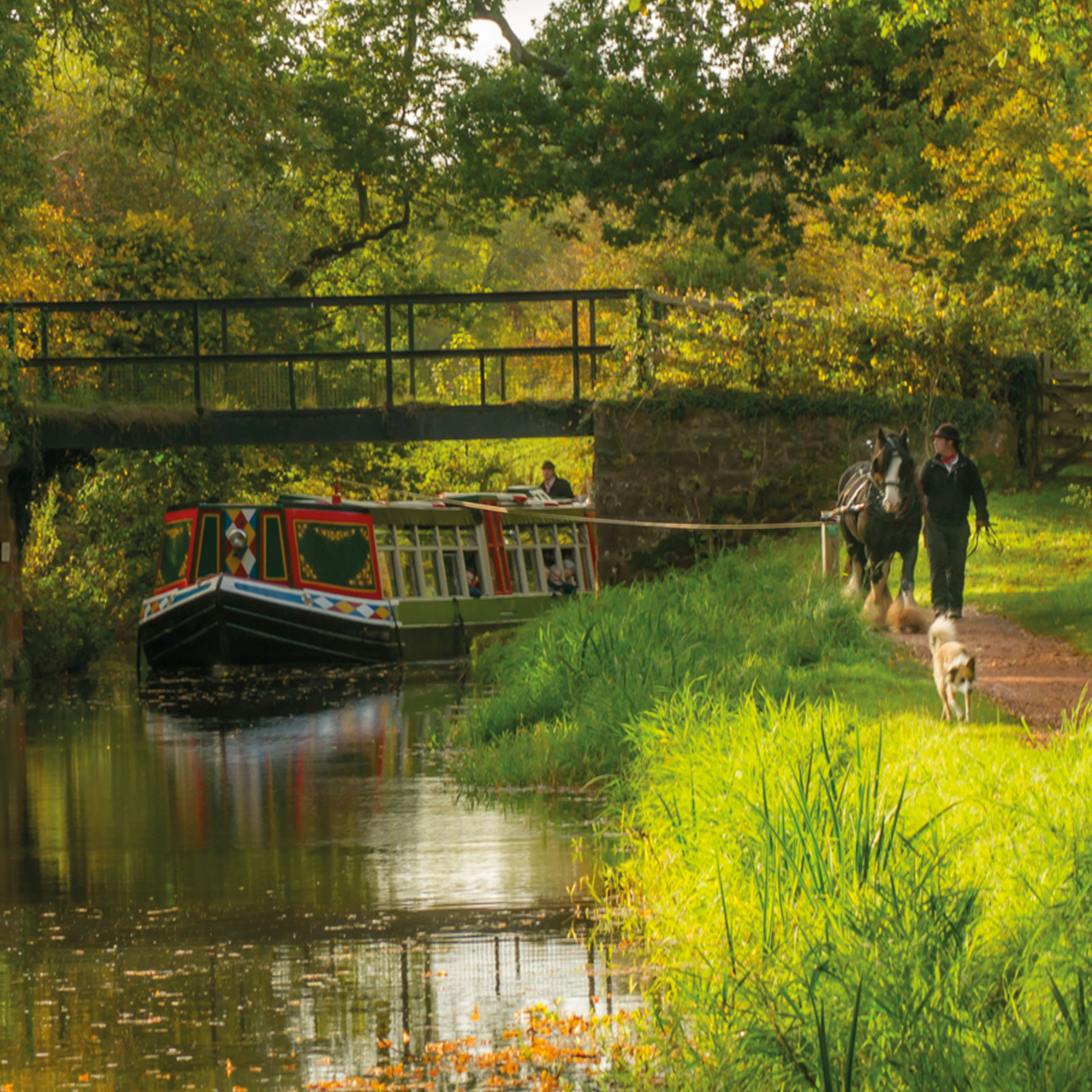 A horse drawn barge coming through Warnicombe Bridge in Tiverton Devon on the Grand Western Canal