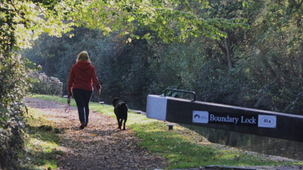 Adult walking dog by canal with lock gate