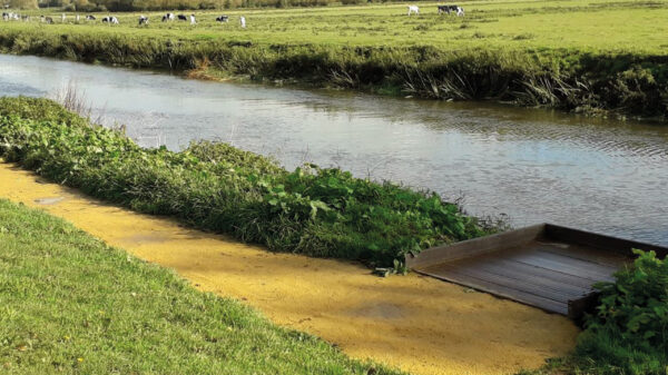 Langport river frontage - new fishing platform