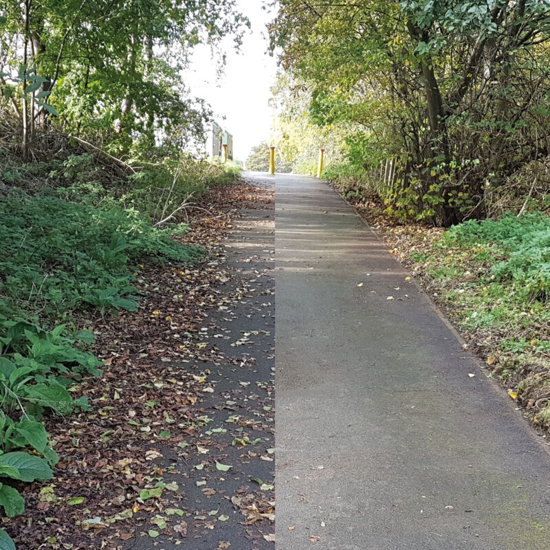 Before and after - cleared pathway near the Northampton Arm