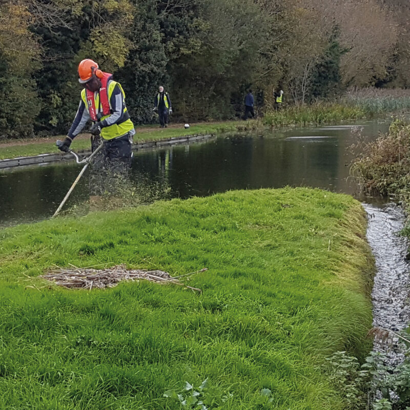Volunteer strimming vegetation along the Northampton Arm