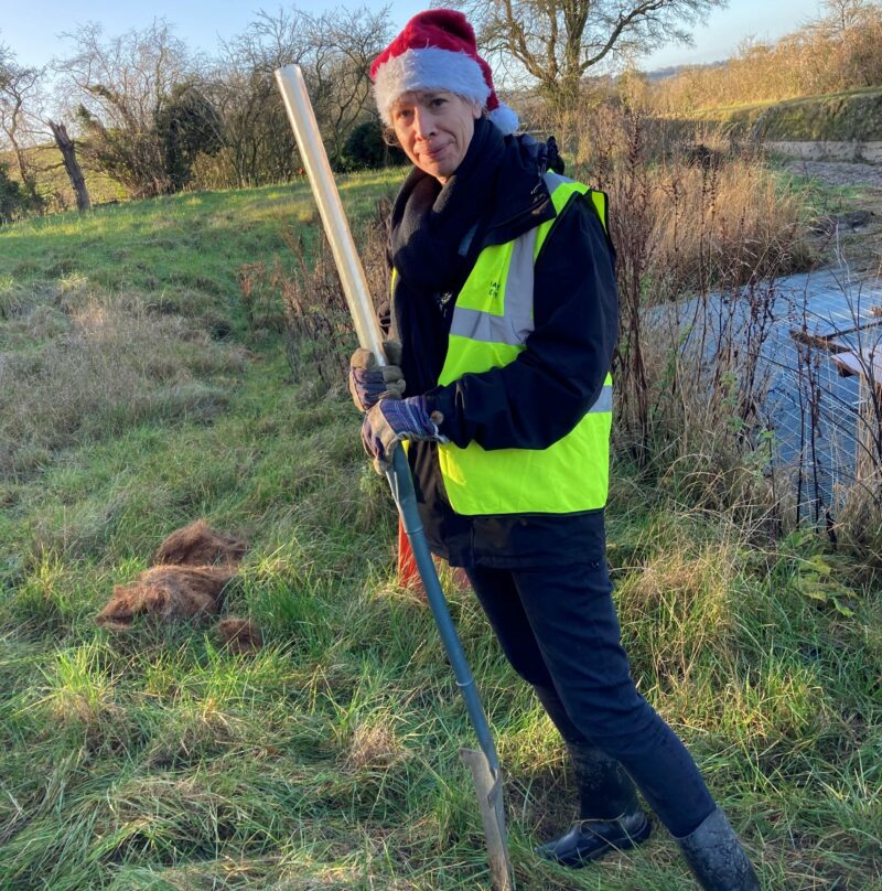 Tree planting, Wendover Arm