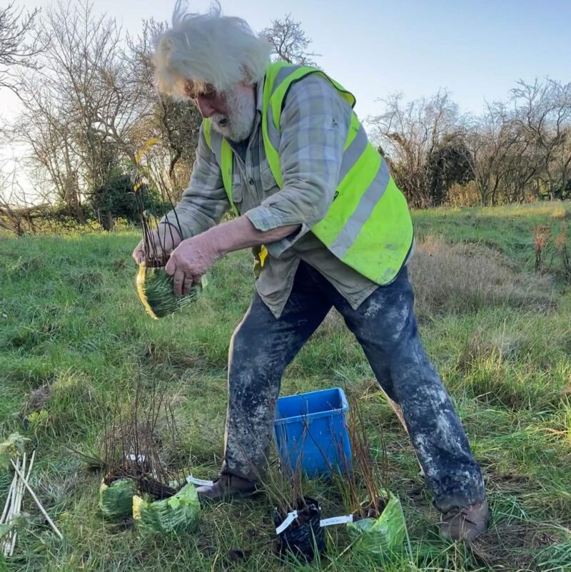 Tree planting, Wendover Arm