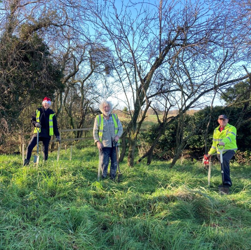 Tree planting, Wendover Arm