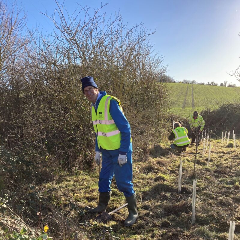 Tree planting, Wendover Arm