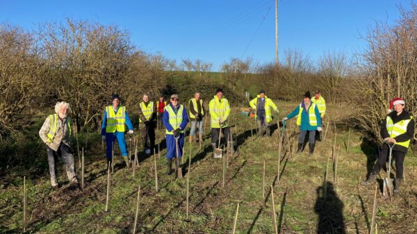 Tree planting team, Wendover Arm