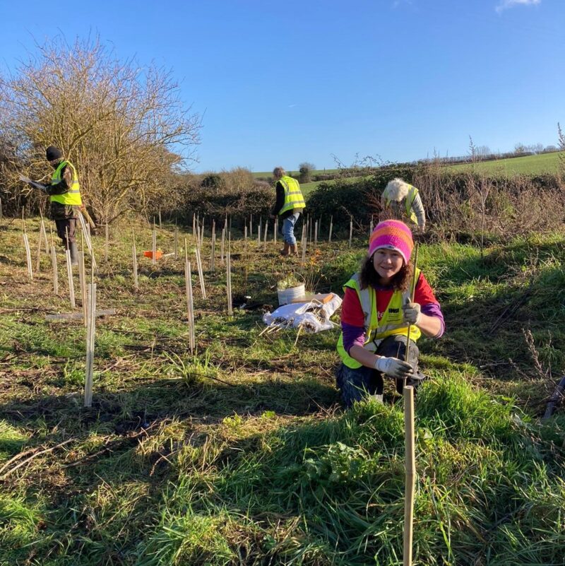 Tree planting, Wendover Arm