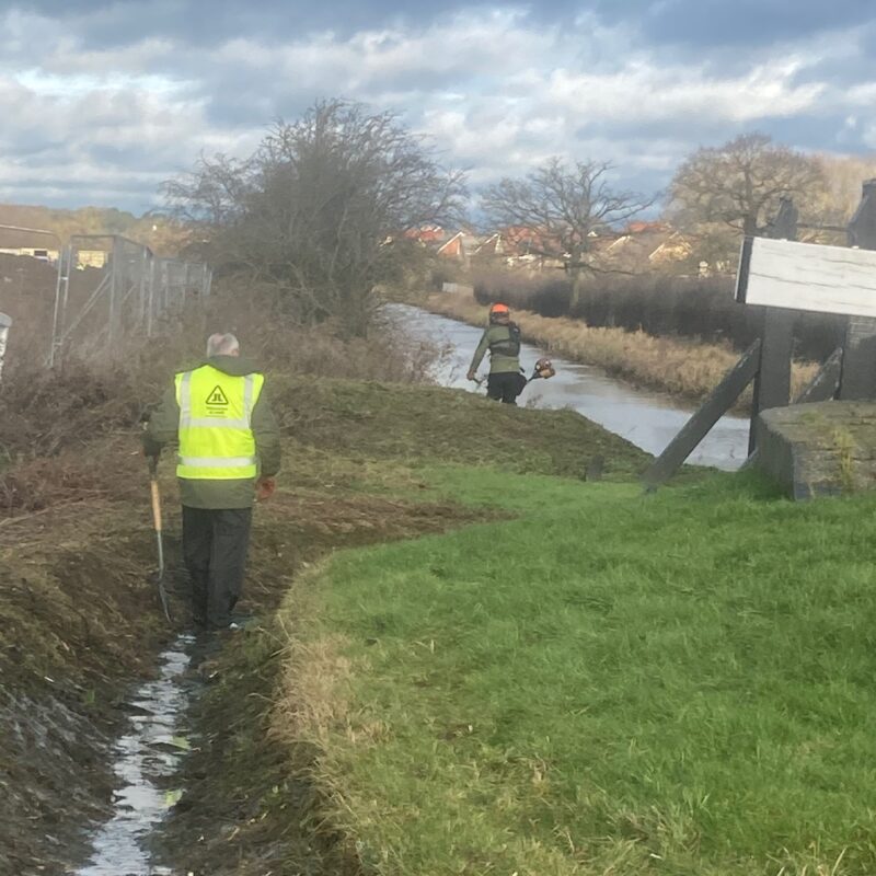 Task Party P2021_1_19