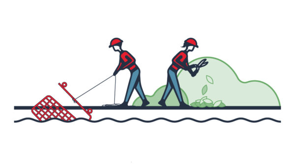 Work Party Volunteer