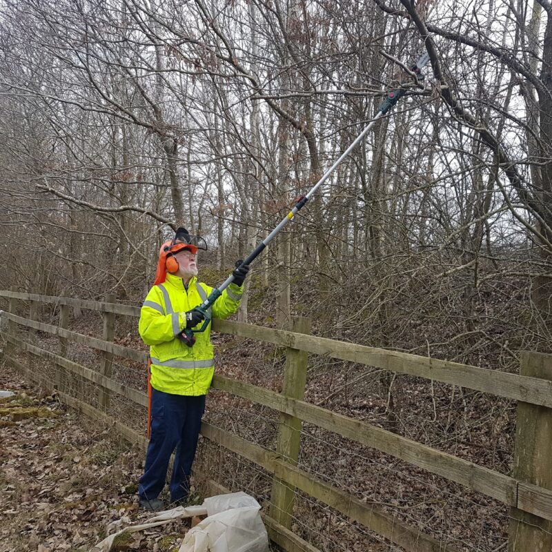 cutting overgrown track