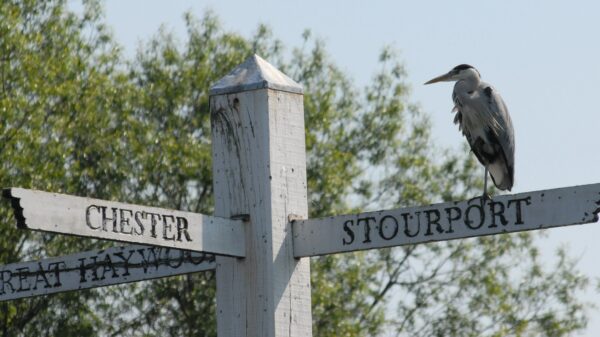 Heron on canal signpost