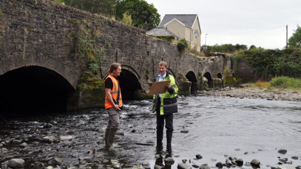 Save Aberdulais Aqueduct structural survey