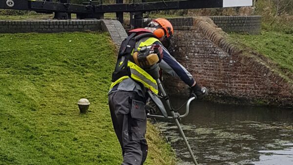 20211019_114948_Strimming