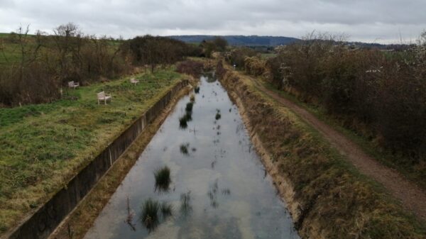 Wendover Arm re-watering