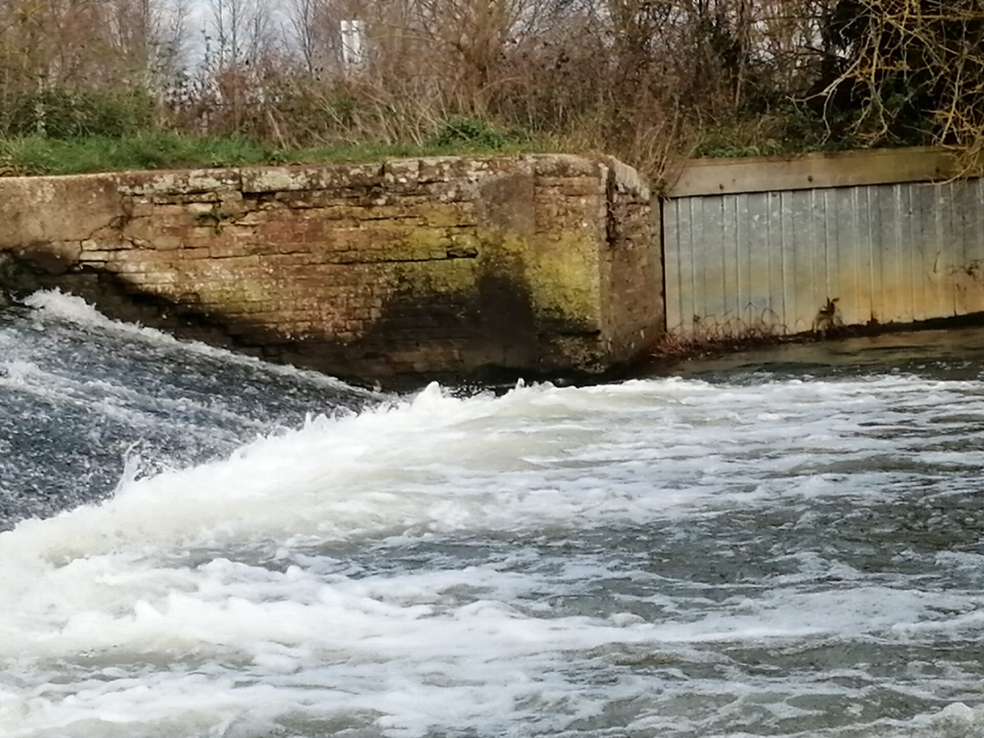 Chelmer and Blackwater stonhams weir