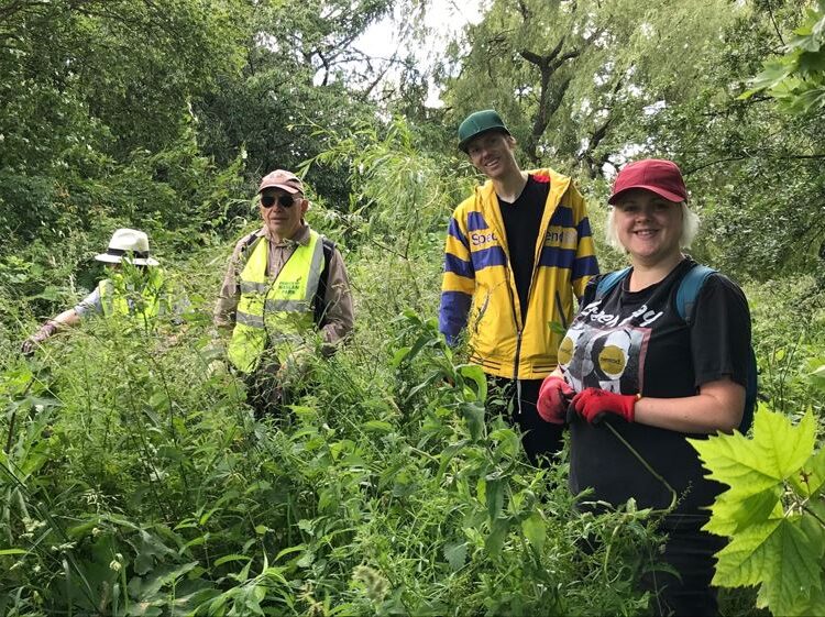 Haslam Park Himalayan Balsam Bash - The Inland Waterways Association