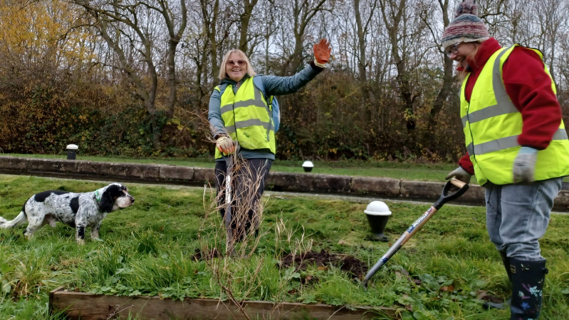 volunteering -Dogs allowed