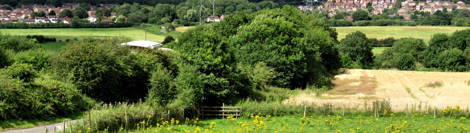 The Bridgewater Canal And Daresbury Countryside Walk - The Inland ...